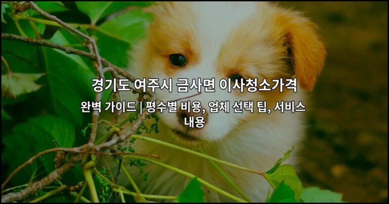 경기도 여주시 금사면 이사청소가격 완벽 가이드 | 평수별 비용, 업체 선택 팁, 서비스 내용