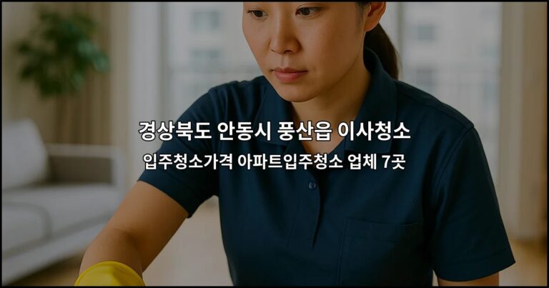 경상북도 안동시 풍산읍 이사청소 입주청소가격 아파트입주청소 업체 7곳
