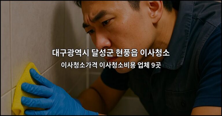 대구광역시 달성군 현풍읍 이사청소 이사청소가격 이사청소비용 업체 9곳