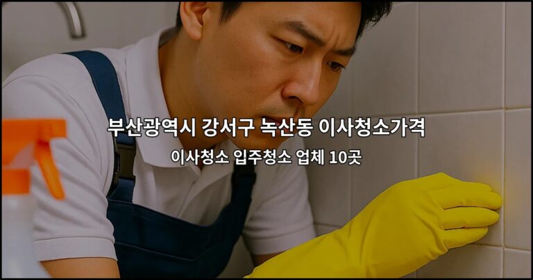 부산광역시 강서구 녹산동 이사청소가격 이사청소 입주청소 업체 10곳