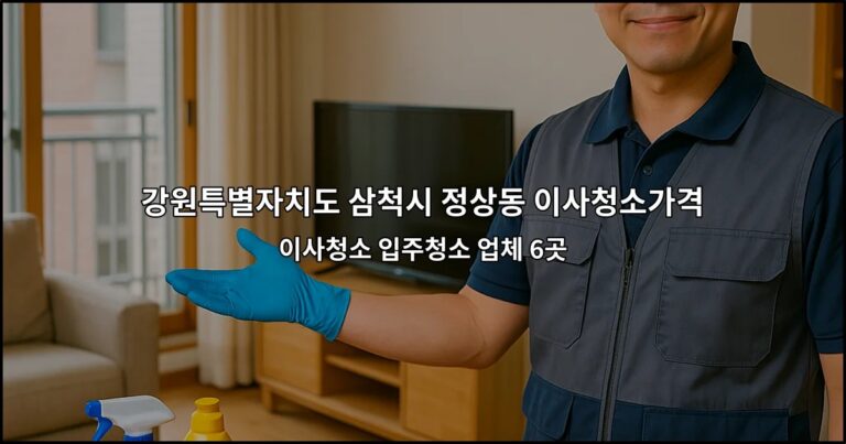 강원특별자치도 삼척시 정상동 이사청소가격 이사청소 입주청소 업체 6곳