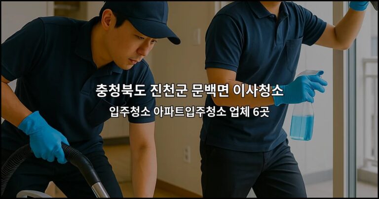 충청북도 진천군 문백면 이사청소 입주청소 아파트입주청소 업체 6곳
