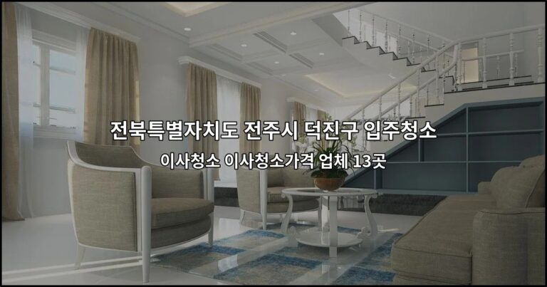 전북특별자치도 전주시 덕진구 입주청소 이사청소 이사청소가격 업체 13곳