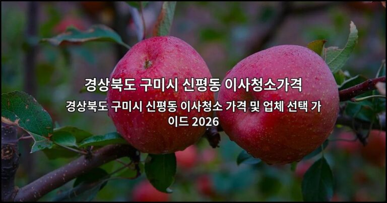 경상북도 구미시 신평동 이사청소 가격 및 업체 선택 가이드 2026