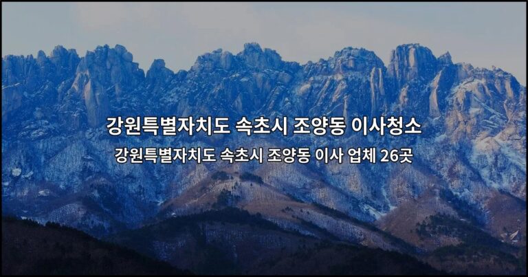 강원특별자치도 속초시 조양동 이사 업체 26곳