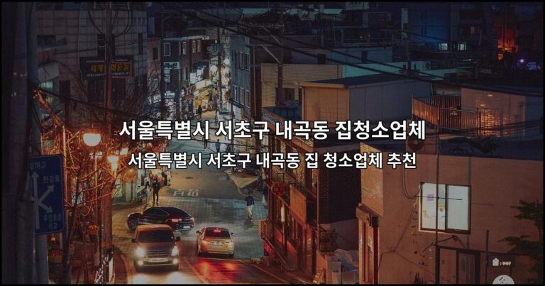서울특별시 서초구 내곡동 집 청소업체 추천